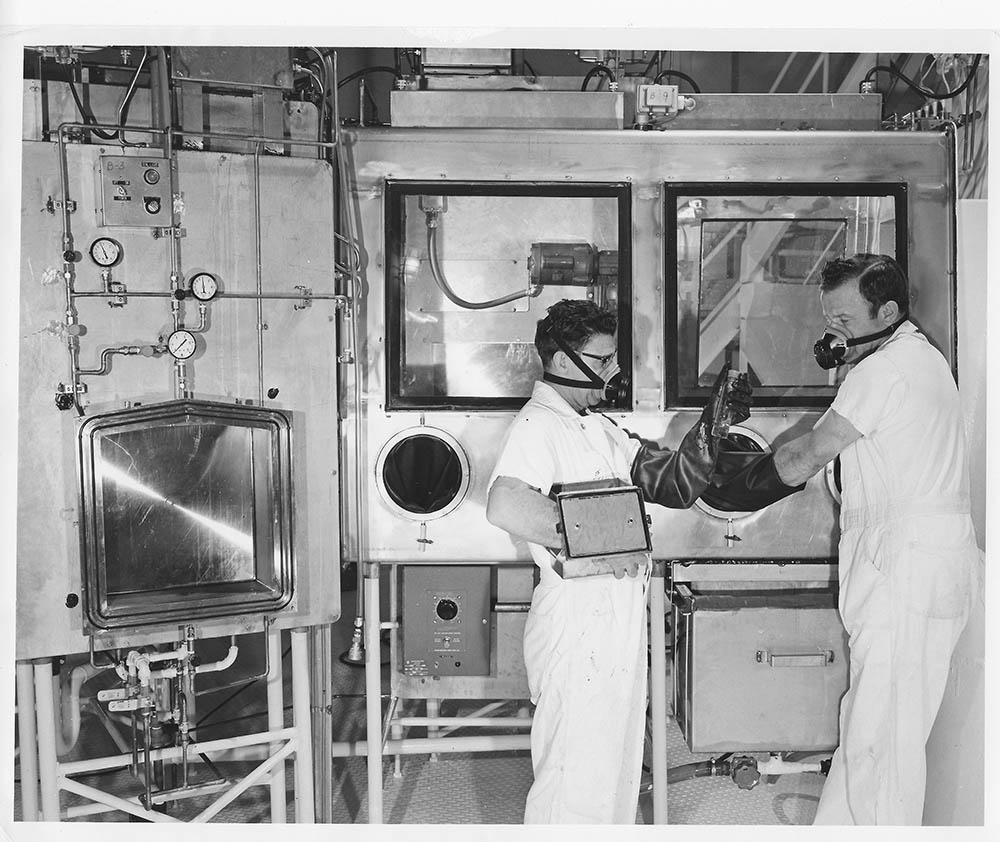 lab gloves fitted on hands