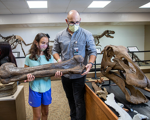 SWAU dino bones on display