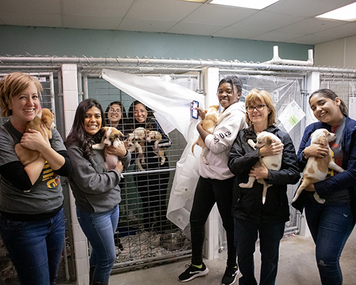 SWAU Ignite Day animal shelter