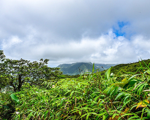 La Soufrière volcano on the Caribbean island of St. Vincent