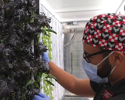 AdventHealth Celebration freight farm