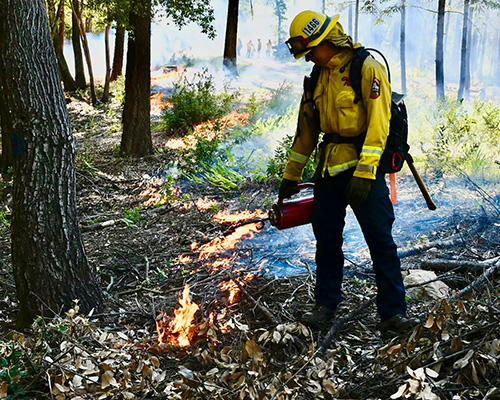 Firefighter putting out fire.