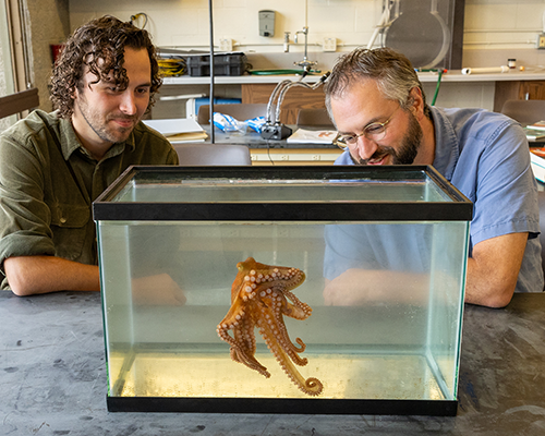Two white men smile as they look into a tank with an octopus
