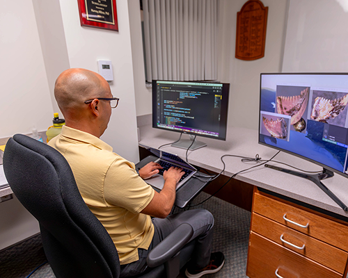 Hispanic man sits behind a computer looking at an image of dinosaur teeth. 