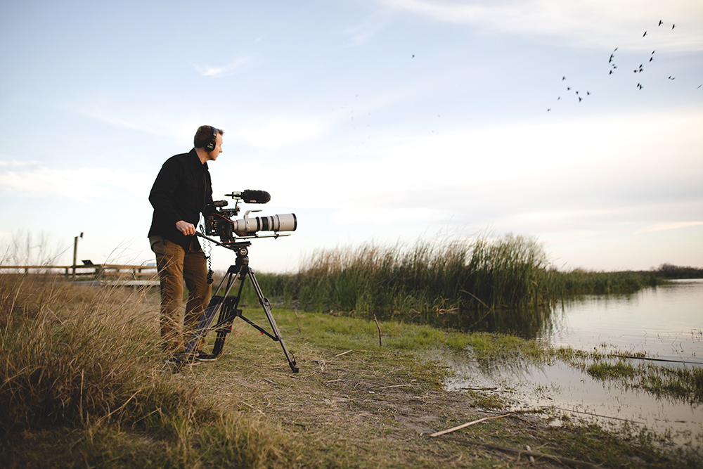 Filmmaker Mark Paden films grackles for the short film "God's Enduring Song of Love." Image courtesy of Geoscience Research Institute